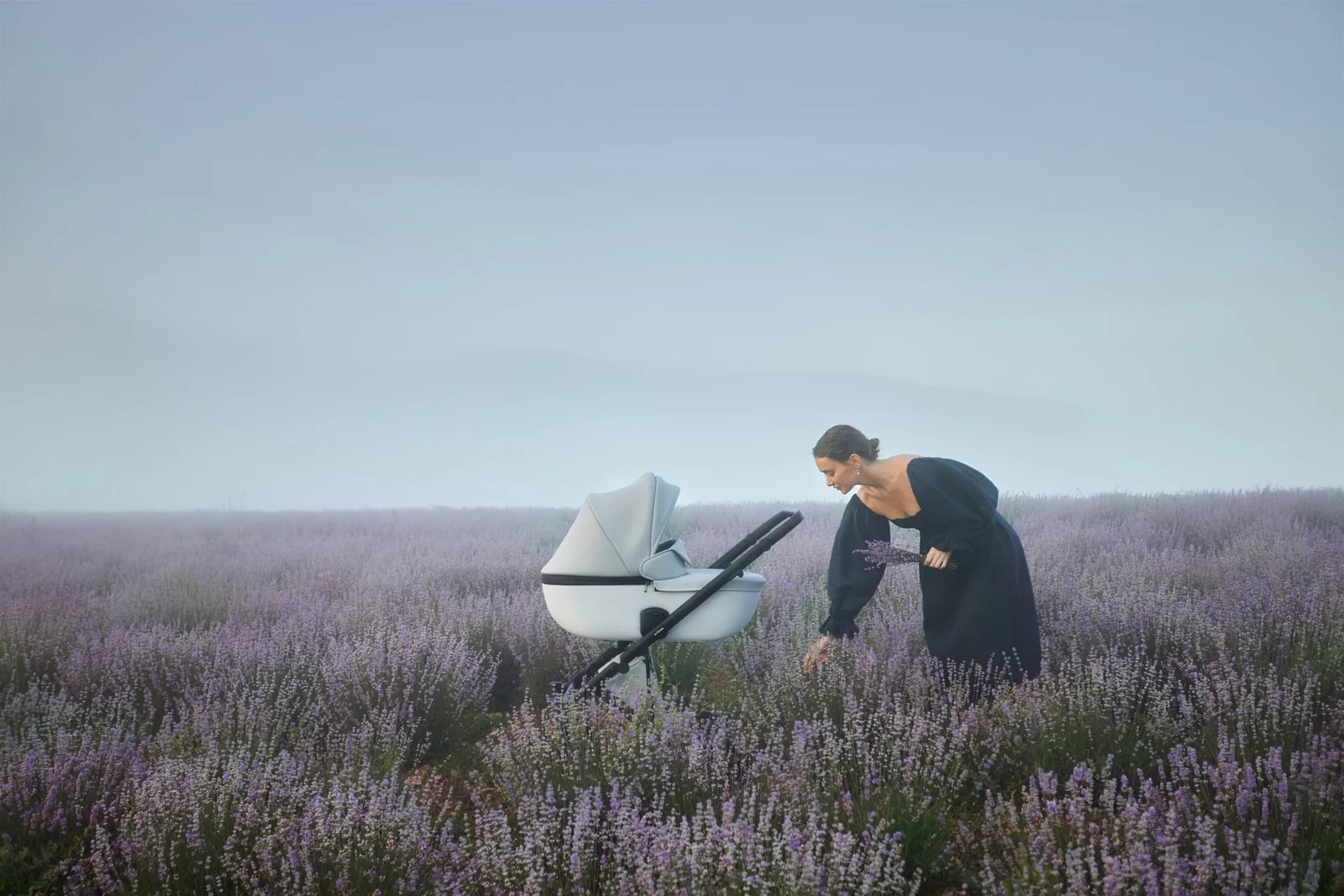 Anex e/type stroller in a lavender field